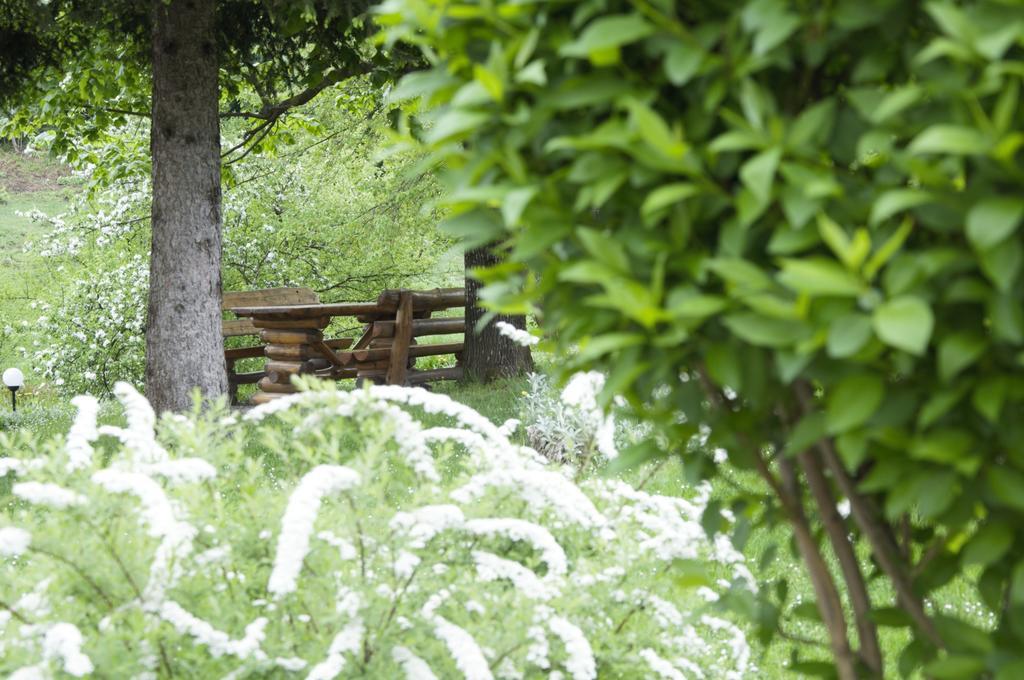 House Ana Bed & Breakfast Plitvicka Jezera Exterior photo